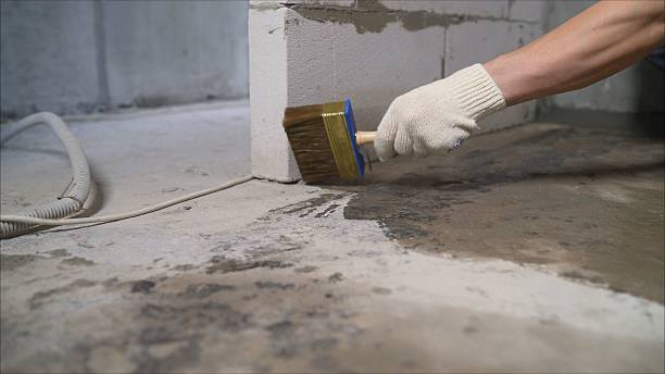 24/7 Emergency Crawl Space Encapsulation experts in Bethpage, NY